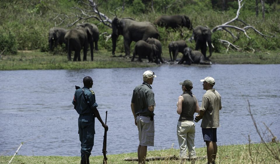 majete wildlife reserve