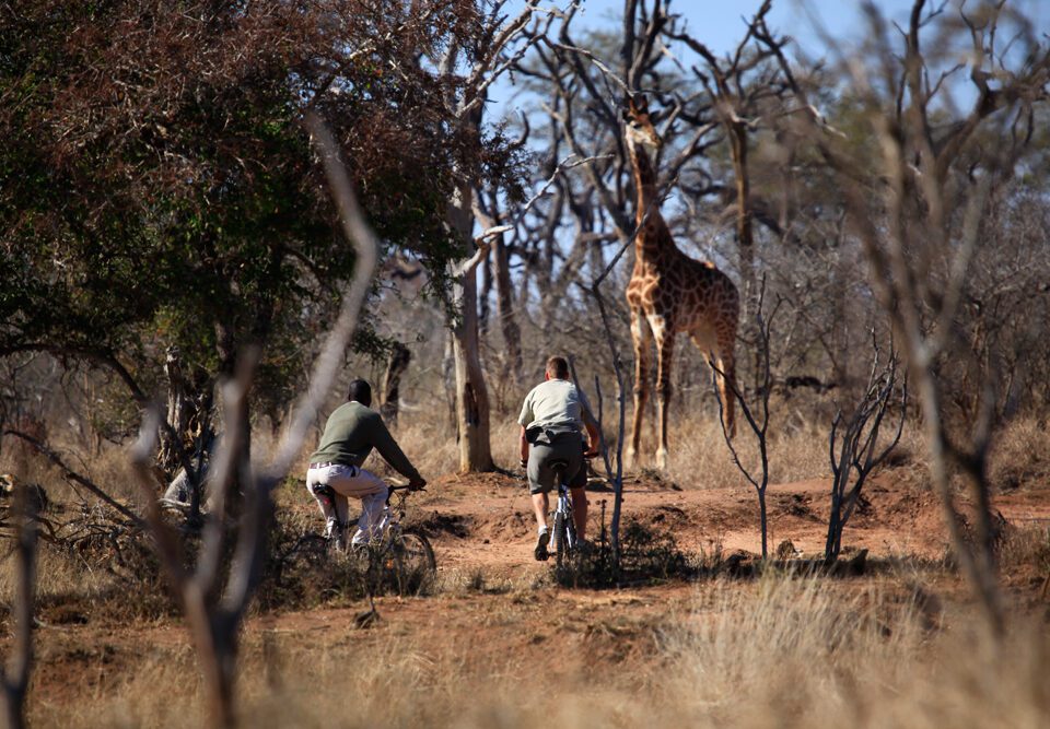 Eswatini & Lesotho Hlane Royal National Park