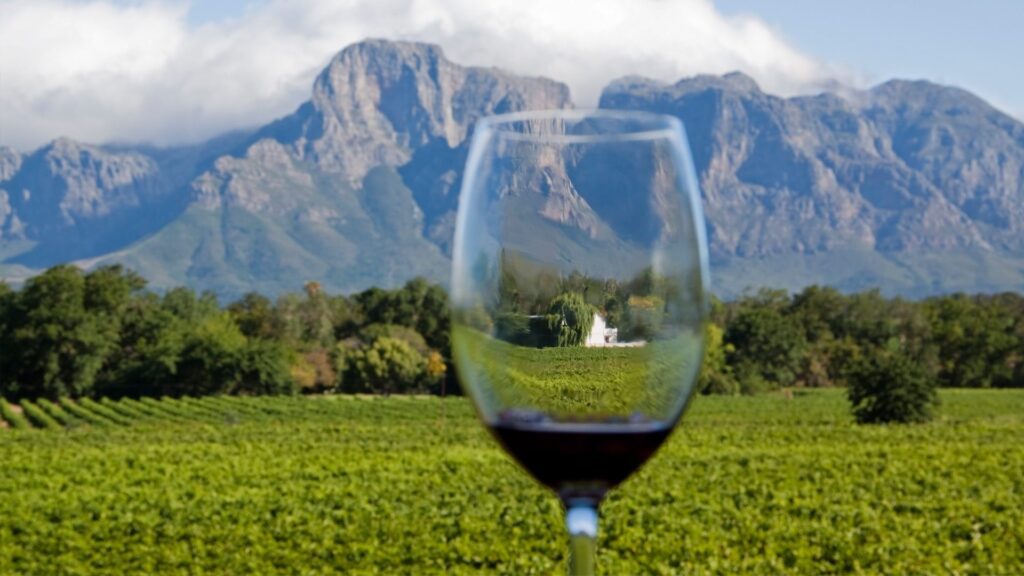 From ZAR1 630 per person

This day tour includes a cellar tour and 3 paired wine tastings, one each in the Stellenbosch, Franschhoek and Paarl regions